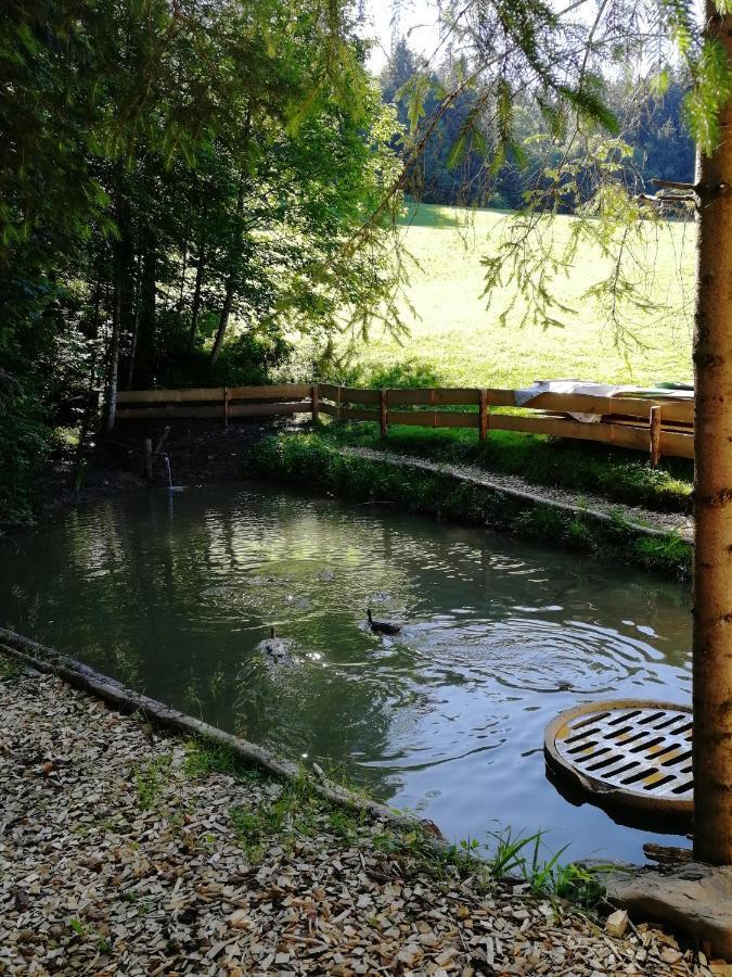 Ferienhaus Am Waldrand Von Egg Bregenzer Wald Esterno foto