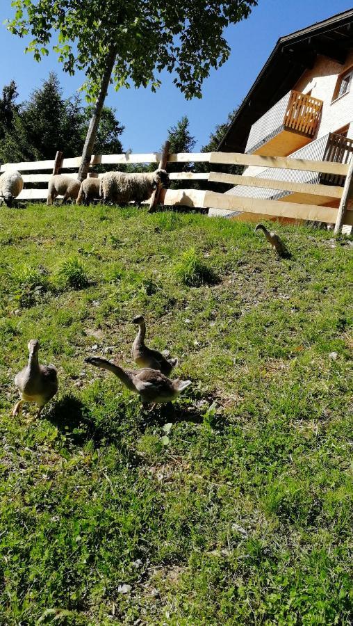 Ferienhaus Am Waldrand Von Egg Bregenzer Wald Esterno foto