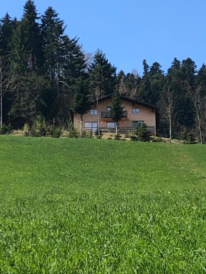 Ferienhaus Am Waldrand Von Egg Bregenzer Wald Esterno foto