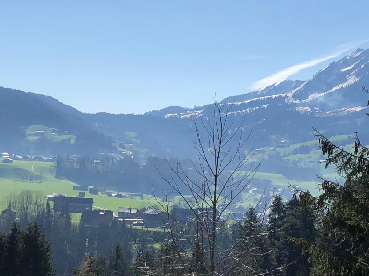 Ferienhaus Am Waldrand Von Egg Bregenzer Wald Esterno foto