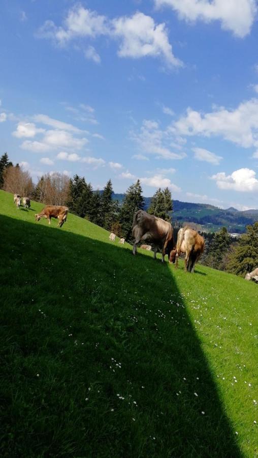 Ferienhaus Am Waldrand Von Egg Bregenzer Wald Esterno foto